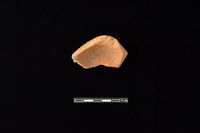 陶片藏品圖，第2張